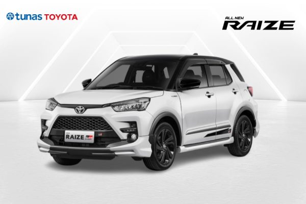All New Raize